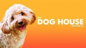The Dog House Australia Audition 2026-2027 | Application, Requirements